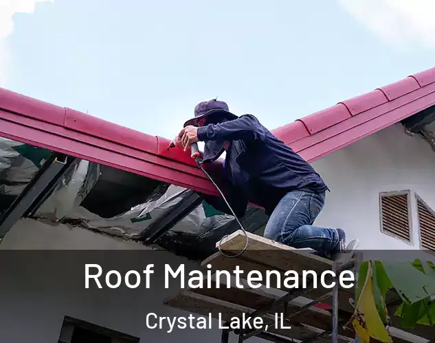  Roof Maintenance Crystal Lake, IL